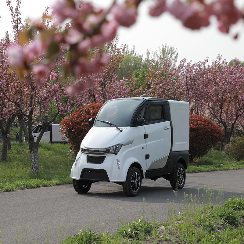 Elec Rice Car China High Quality China New Logistics Electric Car Food Vegetable ...